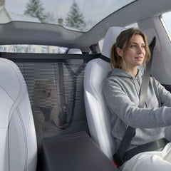 Pet Car Backseat Barrier | PS200